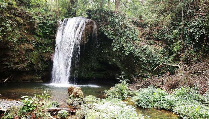 corbett fall, best waterfall in uttarakhand