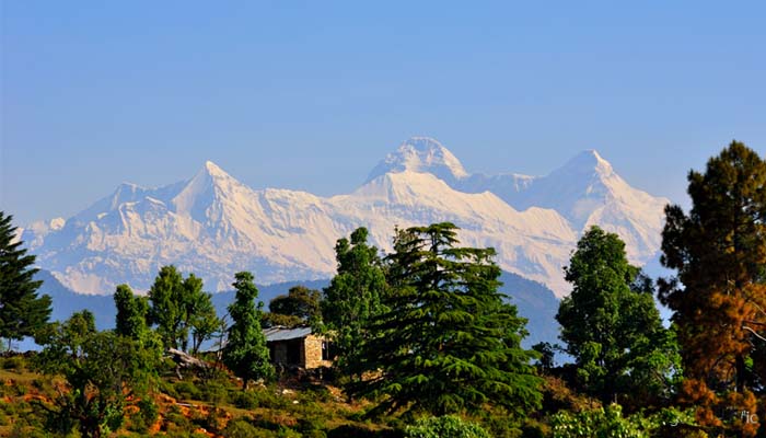 Chaukori, offbeat places in uttarakhand